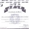 Capexl Certificate 2008-2009